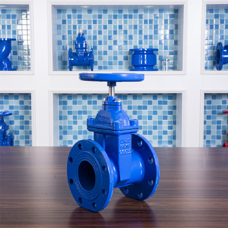 Lês mear oer Gate Valves Sale