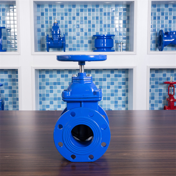 Lês mear oer Knife Gate Valve-soarten