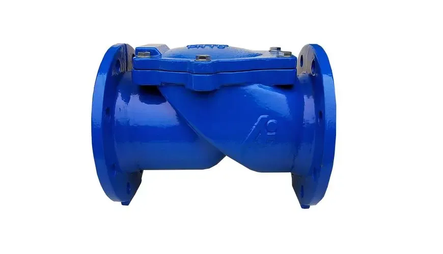 Lês mear oer Check Valve Assy